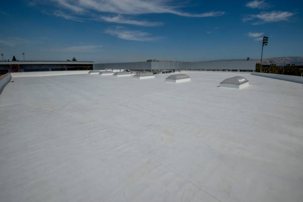 Best Rubber Roofing (EPDM, TPO)  in Covgton, IN